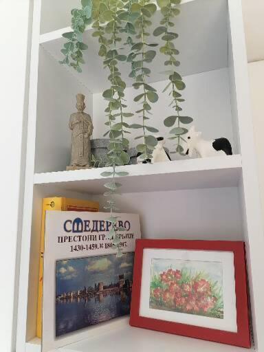 Anka Apartman Semêndria Exterior foto