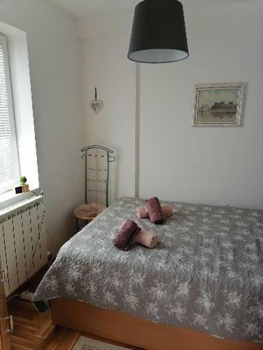 Anka Apartman Semêndria Exterior foto
